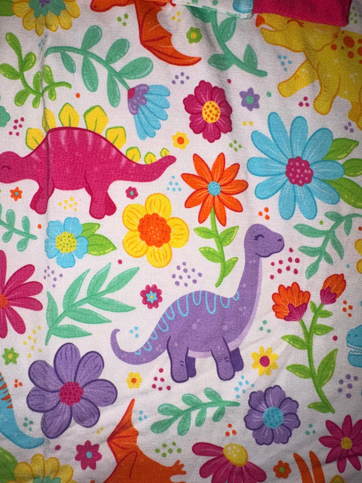 Dinosaur Roar Bamboo Two-Piece Set